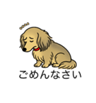 名前入りダックスシェーデッドイエロー（個別スタンプ：2）