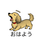 名前入りダックスシェーデッドイエロー（個別スタンプ：3）