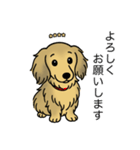 名前入りダックスシェーデッドイエロー（個別スタンプ：4）