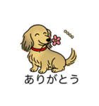 名前入りダックスシェーデッドイエロー（個別スタンプ：5）