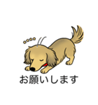 名前入りダックスシェーデッドイエロー（個別スタンプ：7）