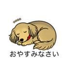 名前入りダックスシェーデッドイエロー（個別スタンプ：9）