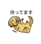 名前入りダックスシェーデッドイエロー（個別スタンプ：10）