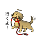 名前入りダックスシェーデッドイエロー（個別スタンプ：11）