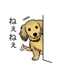 名前入りダックスシェーデッドイエロー（個別スタンプ：12）