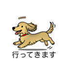 名前入りダックスシェーデッドイエロー（個別スタンプ：13）