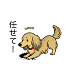 名前入りダックスシェーデッドイエロー（個別スタンプ：15）