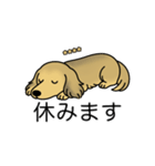 名前入りダックスシェーデッドイエロー（個別スタンプ：16）