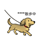 名前入りダックスシェーデッドイエロー（個別スタンプ：17）