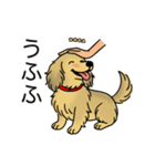 名前入りダックスシェーデッドイエロー（個別スタンプ：19）