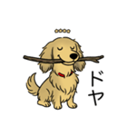 名前入りダックスシェーデッドイエロー（個別スタンプ：21）