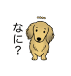 名前入りダックスシェーデッドイエロー（個別スタンプ：22）