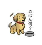 名前入りダックスシェーデッドイエロー（個別スタンプ：24）