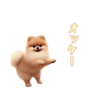 [オッケー専用]ポメラニアン（個別スタンプ：2）