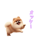 [オッケー専用]ポメラニアン（個別スタンプ：3）