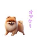[オッケー専用]ポメラニアン（個別スタンプ：4）