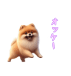 [オッケー専用]ポメラニアン（個別スタンプ：6）