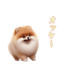 [オッケー専用]ポメラニアン（個別スタンプ：7）