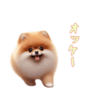 [オッケー専用]ポメラニアン（個別スタンプ：8）