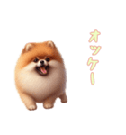 [オッケー専用]ポメラニアン（個別スタンプ：9）
