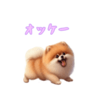 [オッケー専用]ポメラニアン（個別スタンプ：14）