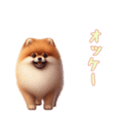 [オッケー専用]ポメラニアン（個別スタンプ：15）
