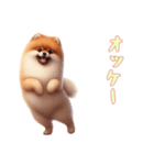 [オッケー専用]ポメラニアン（個別スタンプ：16）