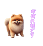 [お疲れ様です専用]ポメラニアン（個別スタンプ：3）