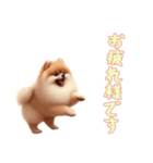[お疲れ様です専用]ポメラニアン（個別スタンプ：5）