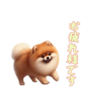 [お疲れ様です専用]ポメラニアン（個別スタンプ：8）