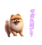 [お疲れ様です専用]ポメラニアン（個別スタンプ：10）