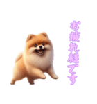 [お疲れ様です専用]ポメラニアン（個別スタンプ：11）