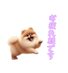 [お疲れ様です専用]ポメラニアン（個別スタンプ：12）
