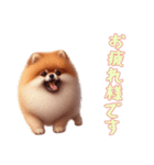 [お疲れ様です専用]ポメラニアン（個別スタンプ：15）