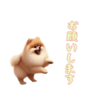 [お願いします専用]ポメラニアン（個別スタンプ：2）