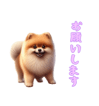 [お願いします専用]ポメラニアン（個別スタンプ：4）
