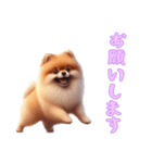 [お願いします専用]ポメラニアン（個別スタンプ：5）