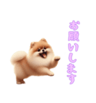 [お願いします専用]ポメラニアン（個別スタンプ：6）