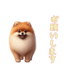 [お願いします専用]ポメラニアン（個別スタンプ：8）