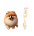 [お願いします専用]ポメラニアン（個別スタンプ：9）