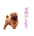 [お願いします専用]ペキニーズ（個別スタンプ：2）