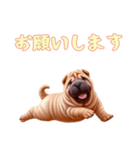 [お願いします専用]ペキニーズ（個別スタンプ：3）