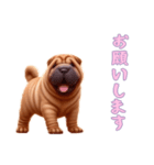 [お願いします専用]ペキニーズ（個別スタンプ：7）