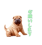 [お願いします専用]ペキニーズ（個別スタンプ：10）
