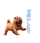 [お願いします専用]ペキニーズ（個別スタンプ：11）