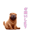 [お願いします専用]ペキニーズ（個別スタンプ：12）