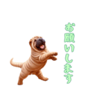 [お願いします専用]ペキニーズ（個別スタンプ：15）
