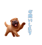 [お願いします専用]ペキニーズ（個別スタンプ：16）