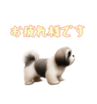[お疲れ様です専用]ラサアプソ（個別スタンプ：3）
