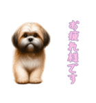 [お疲れ様です専用]ラサアプソ（個別スタンプ：7）